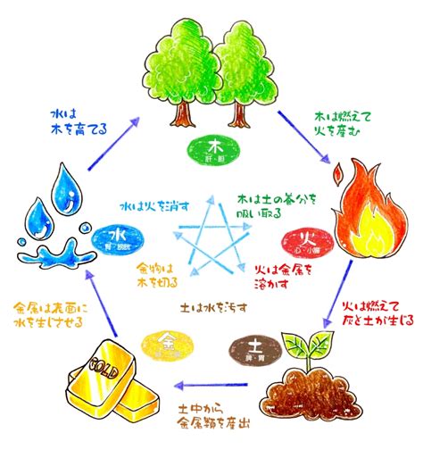 木火土金水 性格|陰陽五行占い【無料】あなたの五行属性でわかる「性。